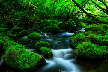 夏の元滝伏流水