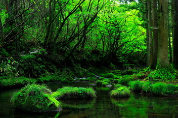 夏の元滝伏流水