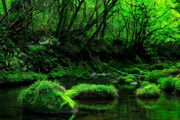 夏の元滝伏流水