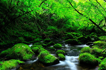 夏の元滝伏流水