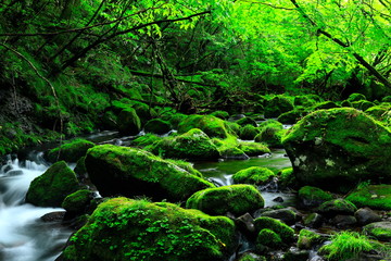 夏の元滝伏流水