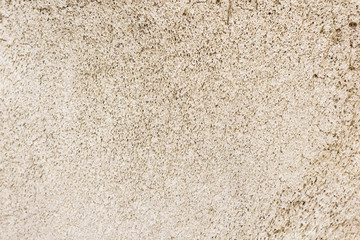 Close-up photography of the bone