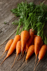 Fresh carrots with greens close up