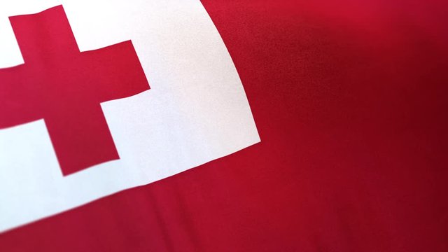 Tonga national flag seamlessly waving on realistic satin texture 29.97FPS