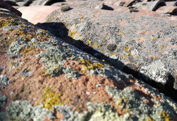 Old and genuine roof. Old ceramic pieces. Ancient tiles with moss and lichens that have been created with the passage of time. Aged. Background with reddish texture. Antique construction.