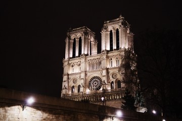 Fototapeta na wymiar Cathedral in Paris