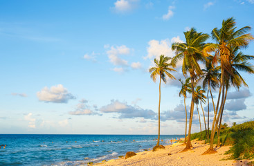 Fototapeta na wymiar Ocean Scene with Palm Trees on the Atlantic Ocean in Cuba