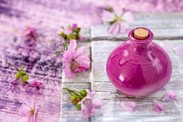 Obraz na płótnie Canvas A bottle of common mallow essential oil with fresh blooming malva sylvestris plant