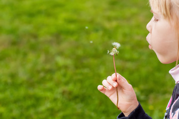 Close up of a girl blowing dandelion seeds across a fresh green background