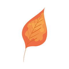 autumn dry leaf nature icon
