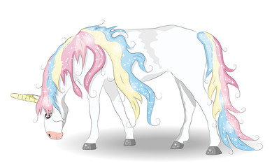 White Unicorn with rainbow hair illustration for children design. Cute fantasy animal. Isolated