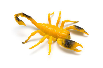 dummy scorpion model on a white background