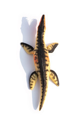 top view Liopleurodon toy with shadow on a white background