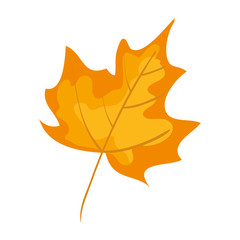 autumn dry maple leaf nature icon