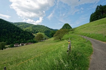 Baden-Württemberg - Münstertal/Schwarzwald - Wanderweg