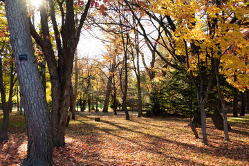 秋の公園