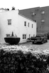 Fototapeta na wymiar House backyard in Black and white photo