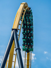 Roller Coaster in the amusement park