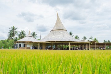 Fototapeta premium Chata Thammachart coffee cafe in a rice field in concept “With Nature Naturally”