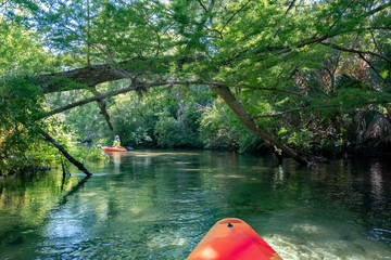 Kayaking on Juniper Springs Creek, Florida