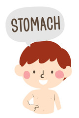 Kid Boy Naming Body Parts Stomach Illustration