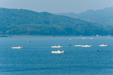 Obraz premium 宍道湖 しじみ漁