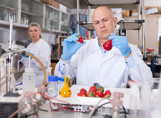 Fototapeta na wymiar Biochemist checking fruits and vegetables