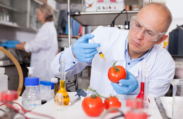 Biochemist injecting chemicals into tomatoes