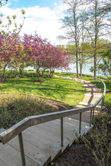 A beautiful view of a curved stair and footpath leading down to a water beyond with flowering trees, grass and shrubs decorating the landscape on a bright sunny day with white clouds in the blue sky.