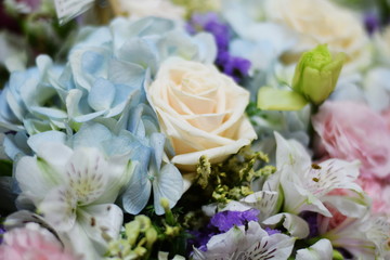 Close up beautiful Pink  rose flower bouquet