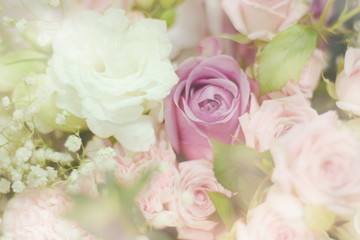 Obraz na płótnie Canvas Close up beautiful Pink rose flower bouquet
