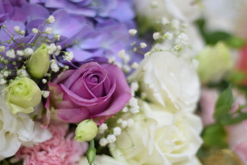 Close up beautiful Pink  rose flower bouquet