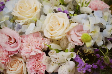 Close up beautiful Pink  rose flower bouquet