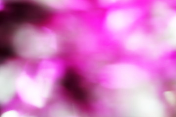 Pink color abstract background with blurred defocus bokeh light