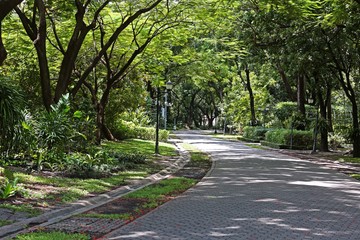 Walkways in public parks in Thailand