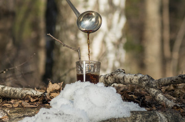 Pouring syrup from birch sap into a glass.
