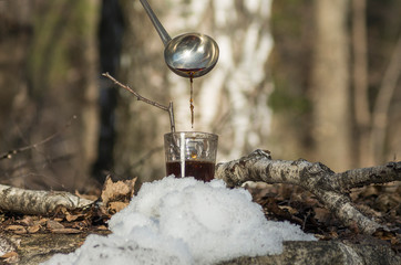 Pouring syrup from birch sap into a glass.
