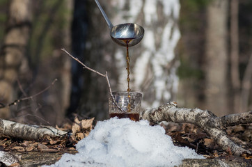 Pouring syrup from birch sap into a glass.
