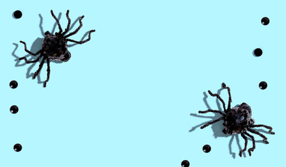 Halloween black spiders - overhead view flat lay