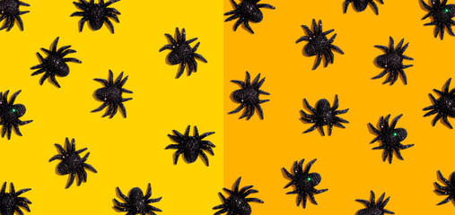 Halloween black spiders - overhead view flat lay