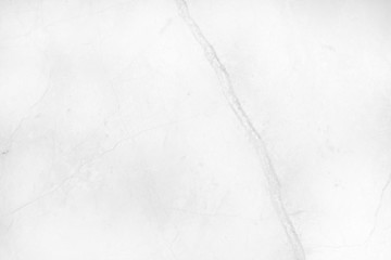 Abstract white marble background with natural motifs.