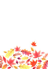 Sweet color autumn leaves freme watercolor hand painting for decoration on autumn festival.
