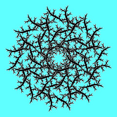 root