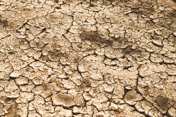 The ground cracks caused by drought caused by water shortages.