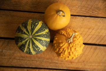 Diverse assortment of pumpkins on a wooden background. Autumn harvest...