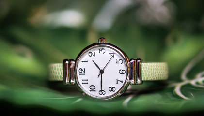  modern wrist watches with green band. Close up on abstract green background