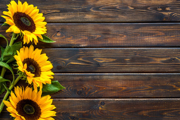 Sunflower frame on wooden background top view copyspace