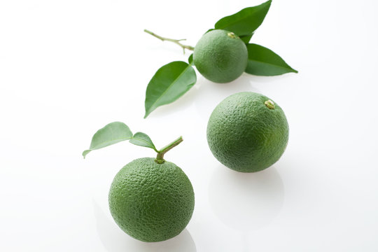 3 409 件の最適な スダチ 画像 ストック写真 ベクター Adobe Stock