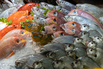 Fresh fish with ice at market, Taipei