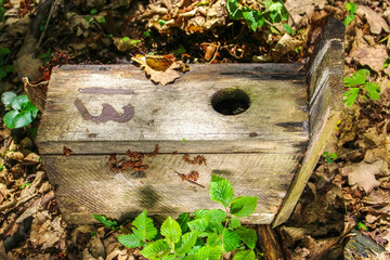 Old birdhouse fell to the ground in the woods